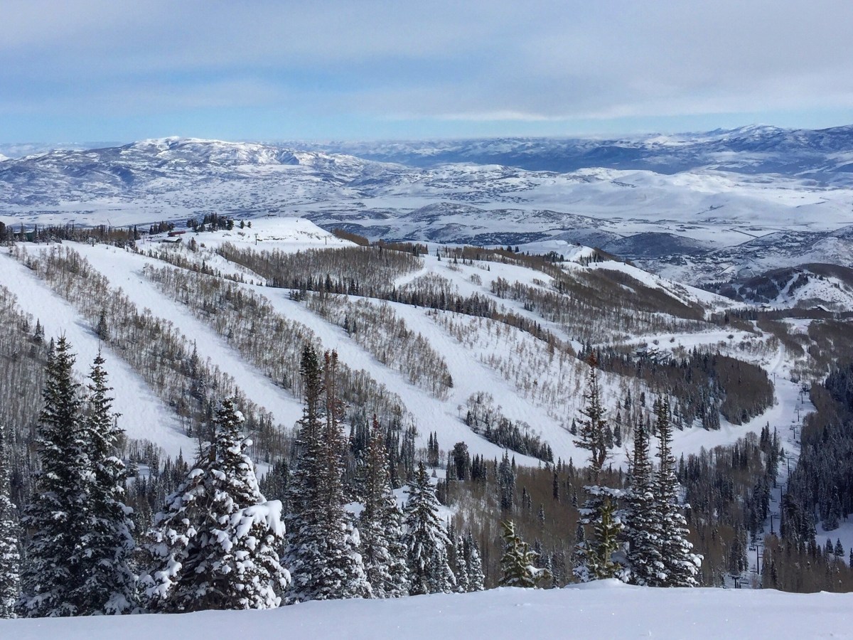 Park City Review