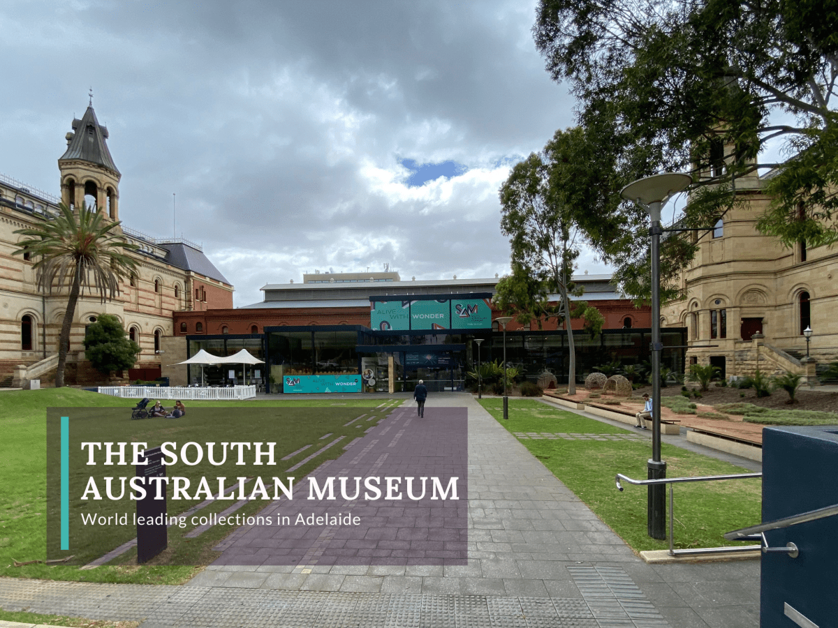 blog banner for South Australian Museum post