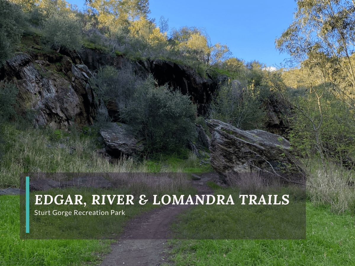 River Trail and Lomandra Trail Combined Hike at Sturt Gorge Recreation&nbsp;Park