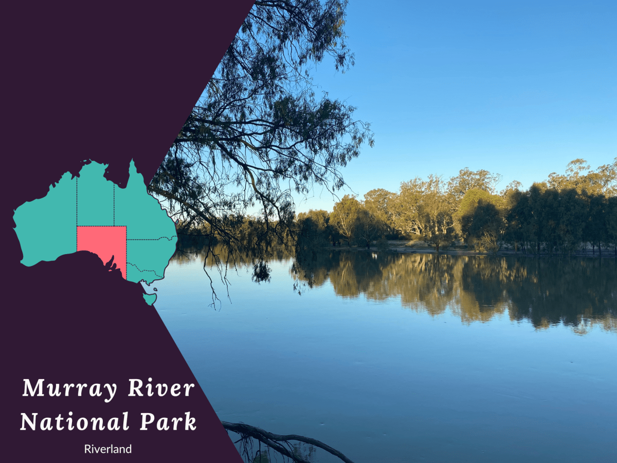 Camping at Murray River National&nbsp;Park